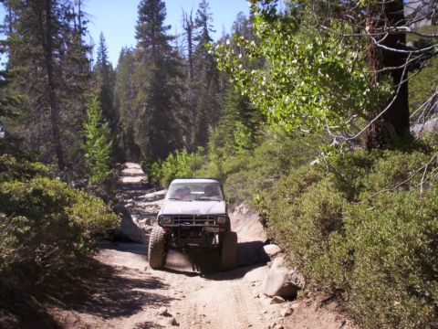 1989 Ford Bronco - A modified truck navigates a rocky, wooded trail under a clear blue sky.