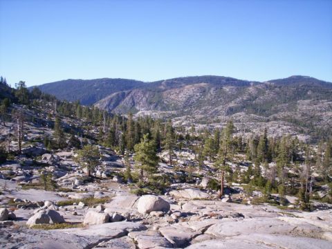 1989 Ford Bronco - A vast, rocky terrain dotted with pine trees stretches towards distant, hazy mountains under a bright blue sky.