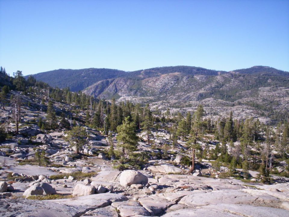 Rocky mountain landscape with scattered pine trees under a clear blue sky