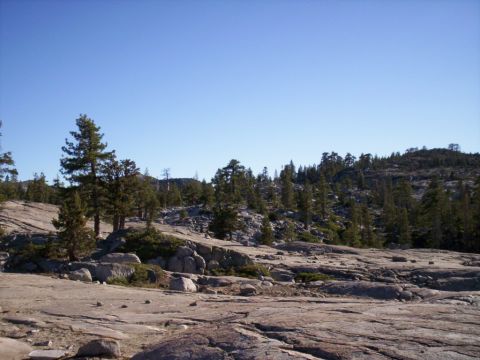 1989 Ford Bronco - A vast, rocky terrain dotted with pine trees stretches towards a distant, tree-covered hillside under a bright blue sky.