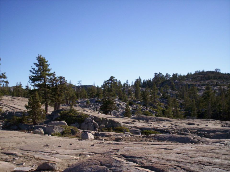 Rocky landscape with scattered pine trees under a clear blue sky