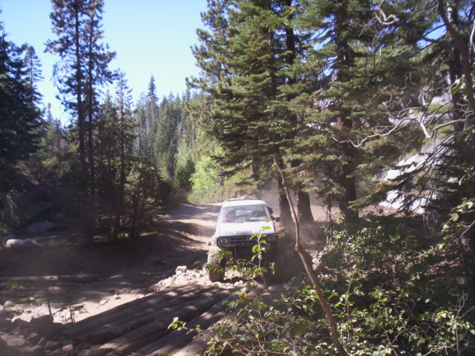 White SUV on a rough dirt road with trees and a log bridge