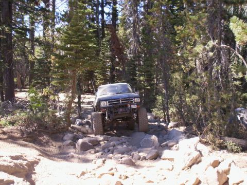 1989 Ford Bronco - Off-road truck with large tires drives over rocks on a wooded trail.