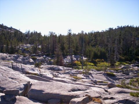 1989 Ford Bronco - A wide view of a rocky, mountainous area with dense forest in the background.