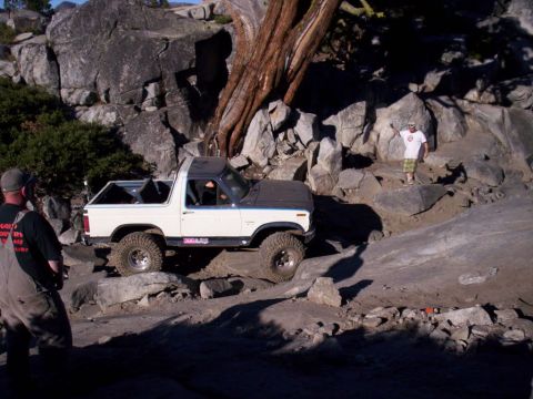 1989 Ford Bronco - A white Ford Bronco navigates a rocky trail with a large tree and boulders in the background.