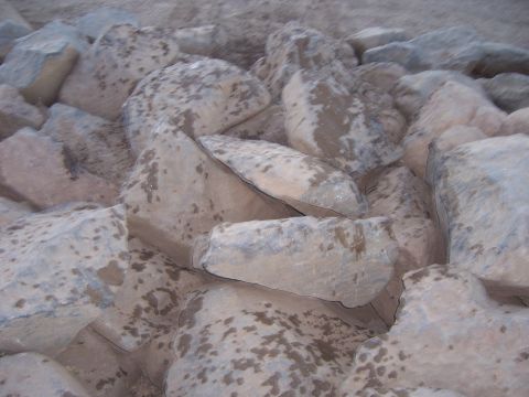1991 Ford Bronco - A close-up view of a jumbled collection of wet rocks.