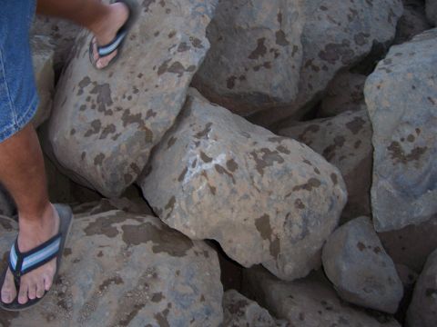 1991 Ford Bronco - Legs and feet in flip-flops are visible on a pile of large, wet rocks.