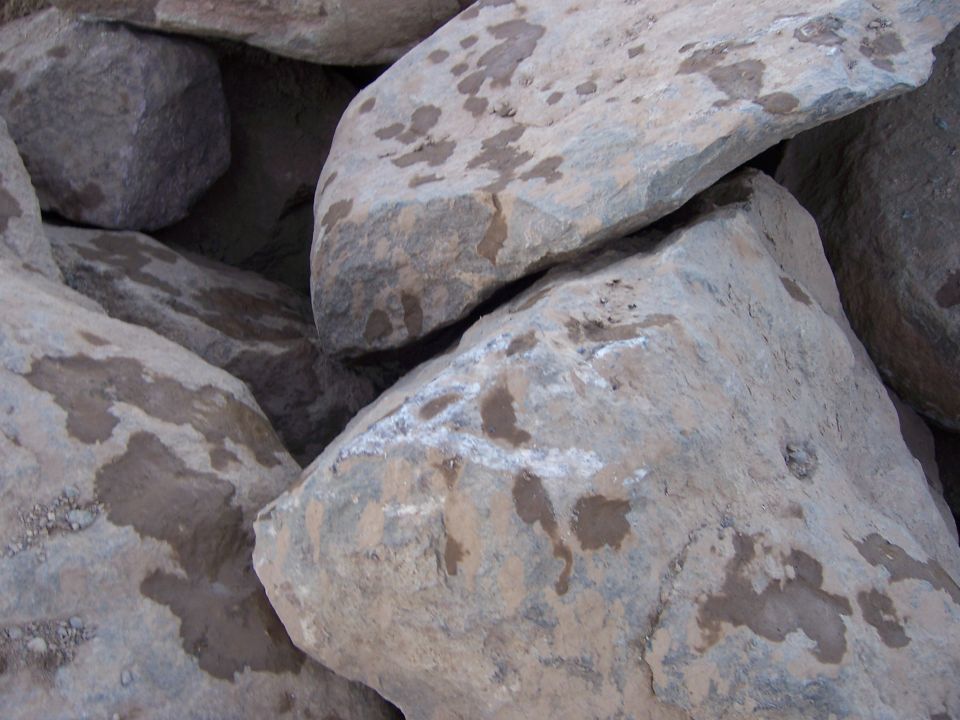 Pile of large, wet, grey and tan rocks