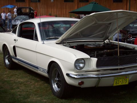 1997 Ford Mustang - A classic white 1965 Ford Mustang GT350 is displayed with its hood open at an outdoor event.