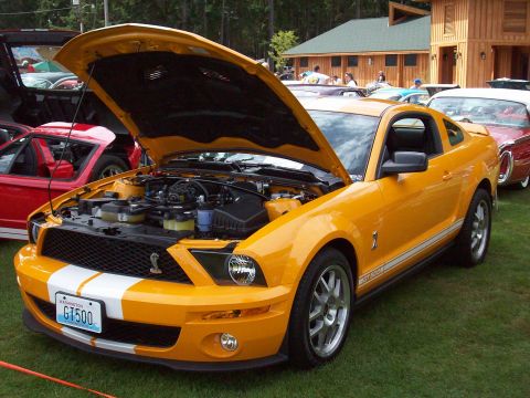1997 Ford Mustang - A yellow Ford Mustang GT500 is displayed with its hood open at an outdoor car show.