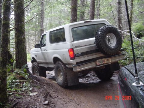 1989 Ford Bronco - So now we went wheelin...Here is Alvie on the powerline