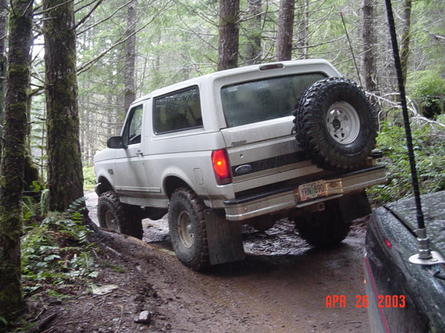 So now we went wheelin...Here is Alvie on the powerline