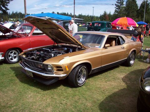 1997 Ford Mustang - A gold 1970 Ford Mustang Mach 1 is displayed with its hood open at an outdoor car show.