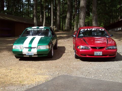 1997 Ford Mustang - Two Ford Mustangs, one red and one green, are parked side-by-side in a wooded area.
