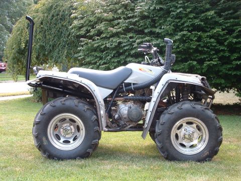 1994 Yamaha TIMBERWOLF photo