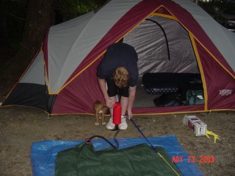 1989 Ford Bronco - My tent is set up