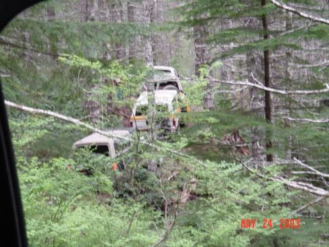 1989 Ford Bronco - Broncos in the woods