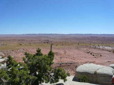 1975 Ford Ranchero - A wide view of a desert terrain under a bright blue sky, with some trees and rocks in the foreground.