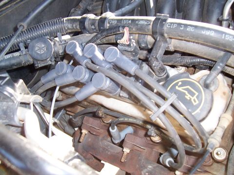 2003 Ford Ranger - Close-up view of a Ford V8 engine, showing spark plug wires and exhaust manifold.