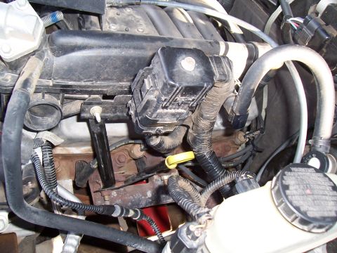 2003 Ford Ranger - Close-up view of a vehicle's engine compartment, showing intricate wiring and plumbing.
