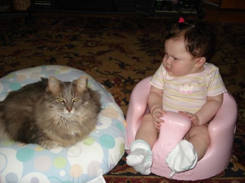 2000 Ford Crown Victoria - A cat and a baby sit next to each other on the floor.