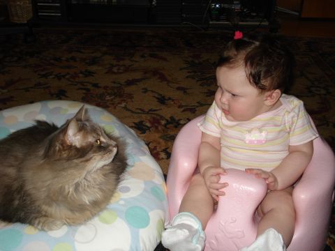 2000 Ford Crown Victoria - A baby and a cat share a moment indoors.