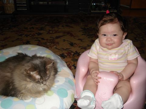 2000 Ford Crown Victoria - A baby sits in a pink infant seat, with a fluffy cat resting on a patterned pillow beside her.