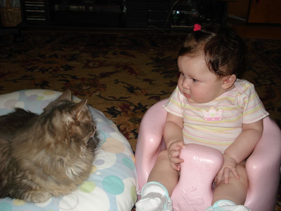 Baby sits in a pink seat next to a cat on a patterned cushion