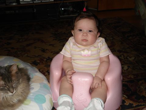 2000 Ford Crown Victoria - A baby sits in a pink floor seat with a cat resting on a pillow nearby.