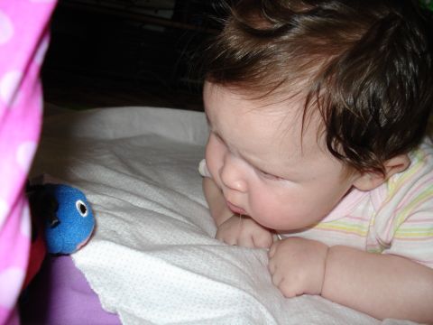 2000 Ford Crown Victoria - A baby gazes intently at a small blue toy fish while lying on a textured white surface.