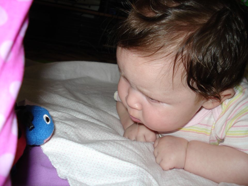 Baby with brown hair lies on a white blanket, looking down at a blue toy fish. A pink polka-dotted fabric is on the left