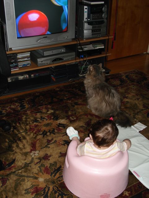 2000 Ford Crown Victoria - Baby and cat are captivated by the television screen in a living room setting.