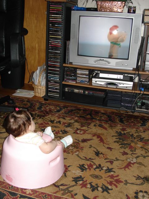 2000 Ford Crown Victoria - A baby sits in a pink seat on a patterned rug, engrossed in a television program.