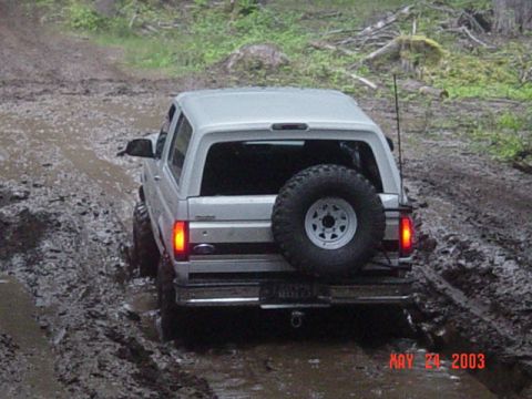 1989 Ford Bronco - Alvie