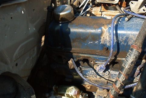 1982 Toyota 4Runner “Rabid Squirrel”