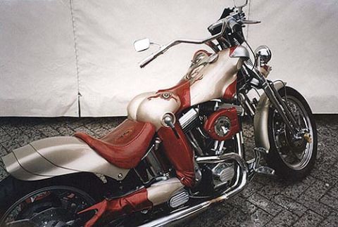 2006 Ford E350 - A custom motorcycle with a unique paint scheme and sculpted seat is shown from a three-quarter front view.