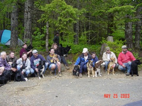 1989 Ford Bronco - We lined up all the trail dogs and their owners for a pic