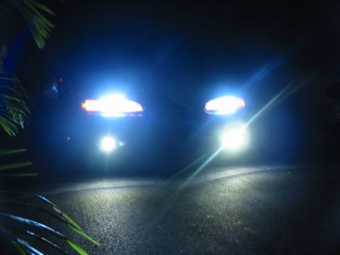1995 Ford Thunderbird - Bright headlights illuminate the dark road at night, with foliage visible in the foreground.