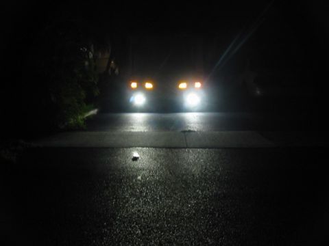 1995 Ford Thunderbird - A vehicle's front end is visible at night, illuminated by bright headlights and amber turn signals.