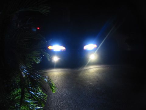 1995 Ford Thunderbird - A car's headlights illuminate the road ahead at night, partially obscured by foliage.