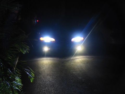 1995 Ford Thunderbird - Headlights illuminate a dark road at night, with palm fronds visible on the left.
