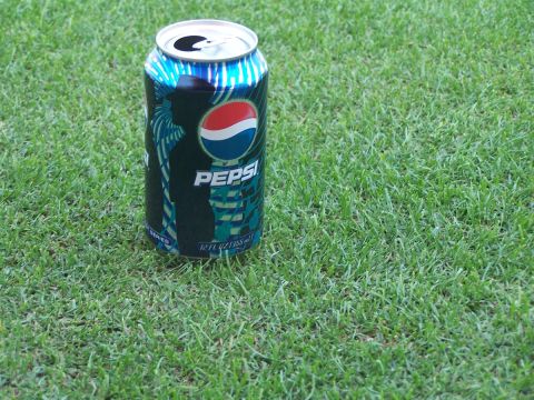 1990 Ford Bronco - A single aluminum can rests on a patch of green grass, its label partially visible.