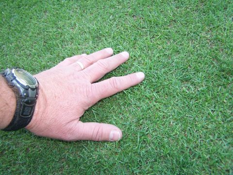 1990 Ford Bronco - Hand resting on a grassy surface, possibly artificial turf.