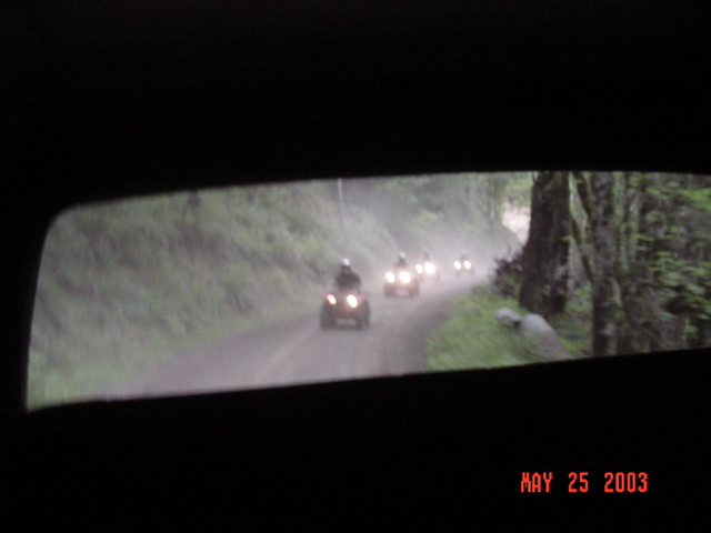 These quads decided to follow us on our night run