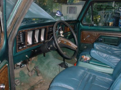 1979 Ford Bronco photo