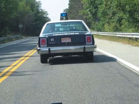 1991 Ford LTD Crown Victoria - rear of a dark police sedan marked 45 with a single blue roof light travels a wooded two-lane road with a yellow center line.
