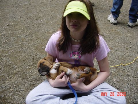1989 Ford Bronco - Puppy getting held again