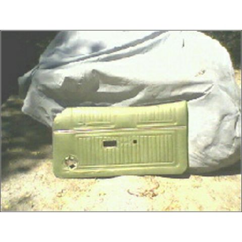 1973 Ford Ranchero - A green door panel, likely for a classic vehicle, is displayed outdoors on sandy ground.