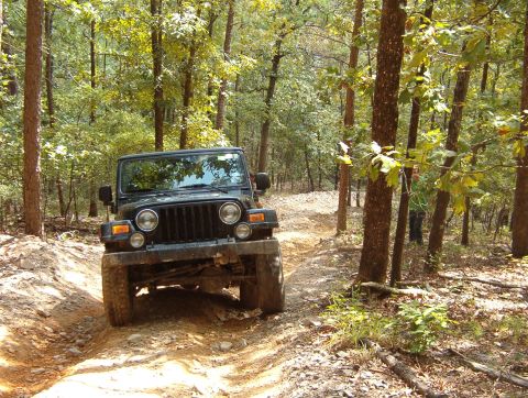 1983 Ford Bronco - Hopper climbing a hill on Rubicon Ridge.