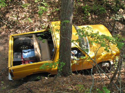 1993 Ford Bronco - up up up... He left a little paint on this tree.